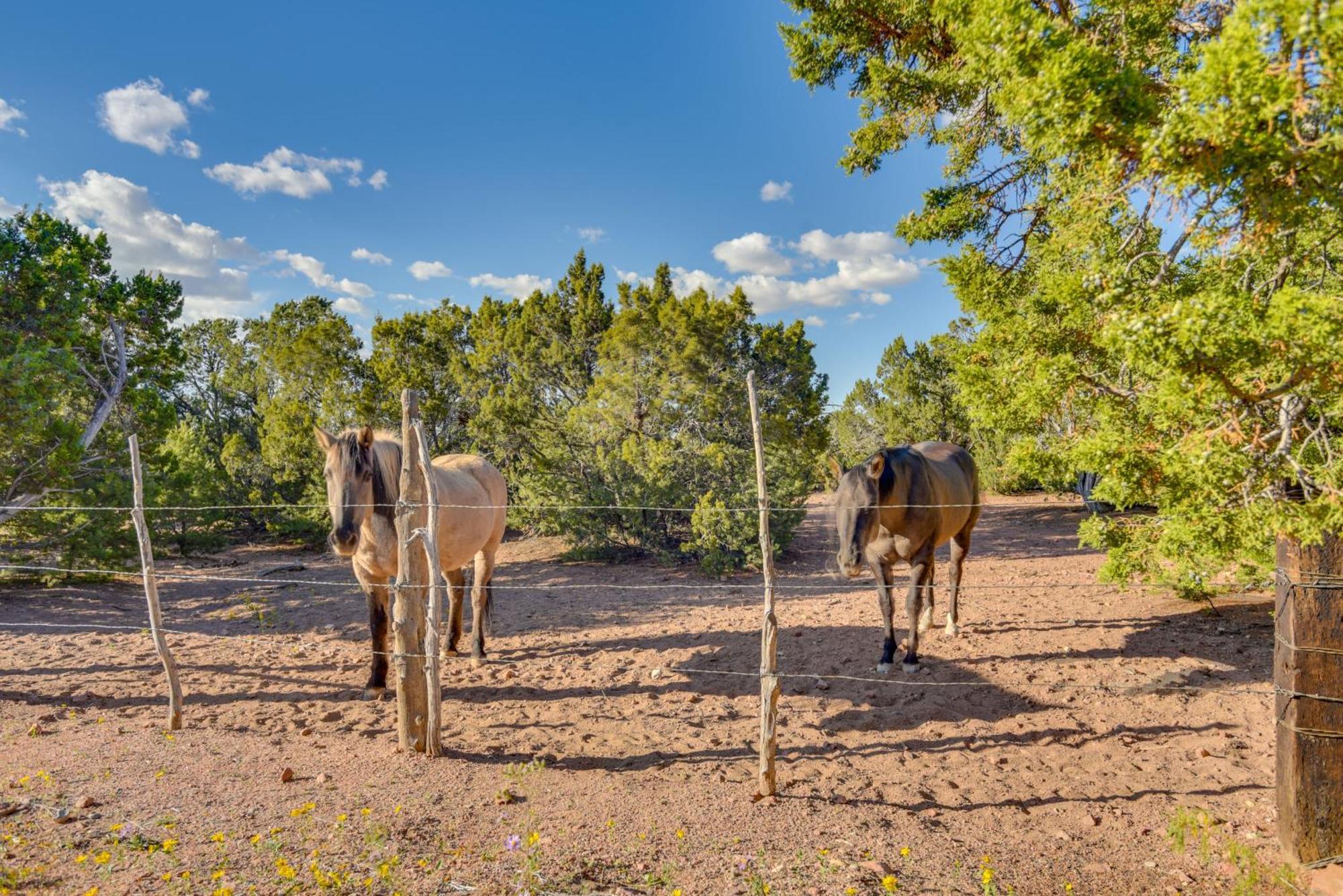 Hidden Gem - Nestled In Tesuque Hills! * Santa Fe